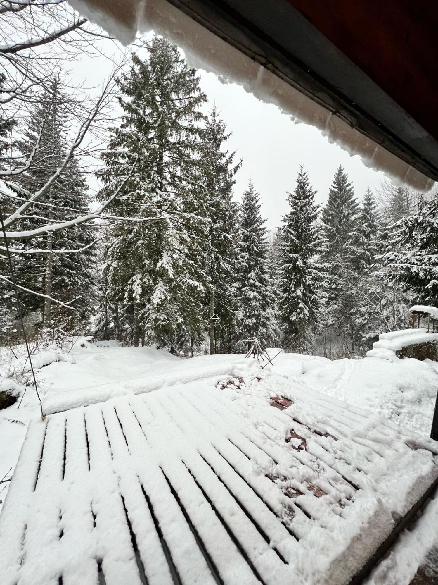 ~Chalet_Rifugio Tra I Boschi~ Села Невеа Екстериор снимка