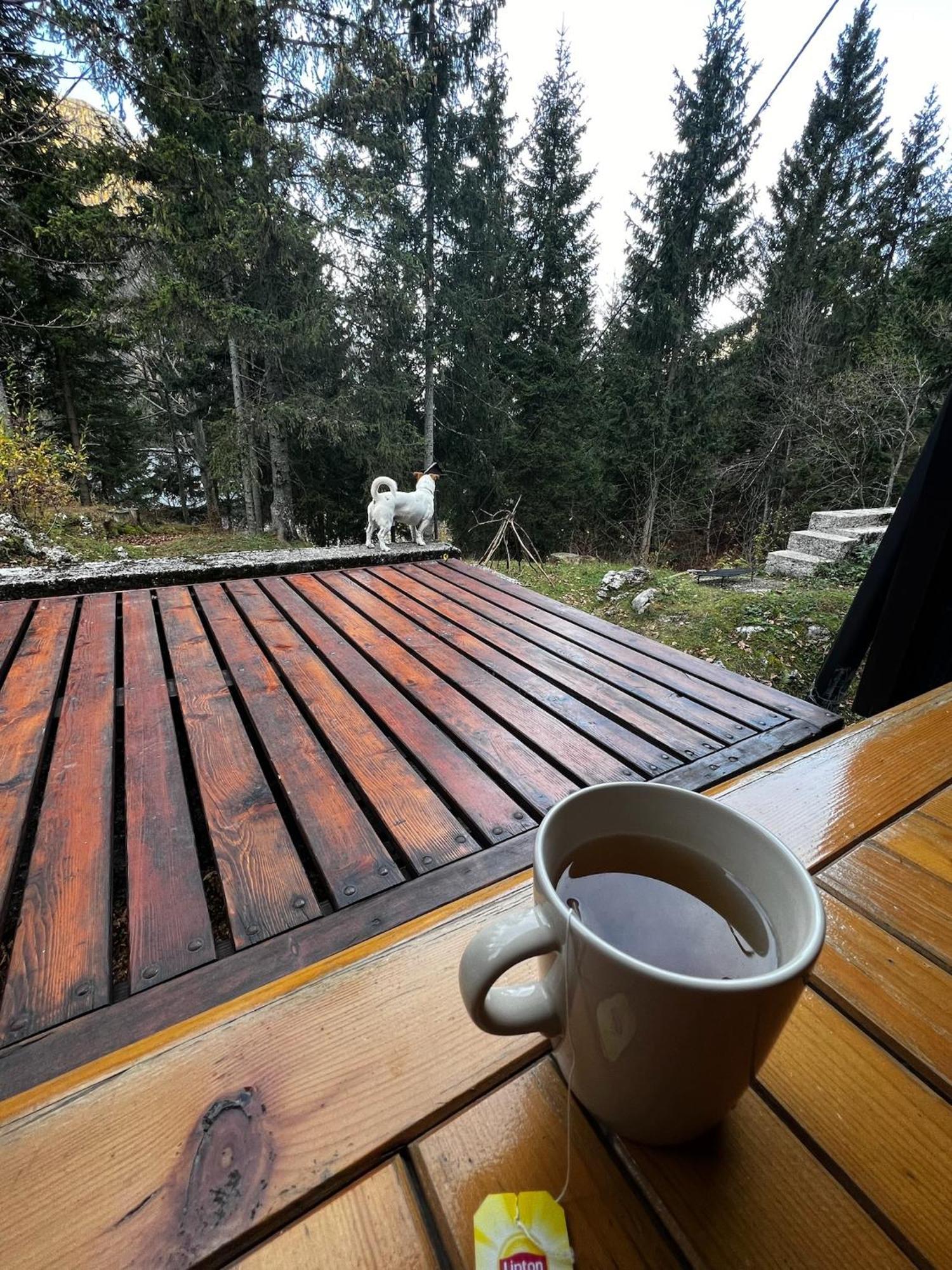 ~Chalet_Rifugio Tra I Boschi~ Села Невеа Екстериор снимка
